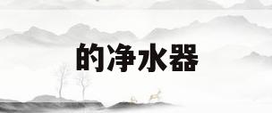 的净水器(排名前十的净水器)