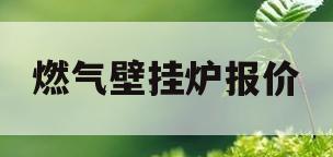 燃气壁挂炉报价(燃气壁挂炉报价及图片)