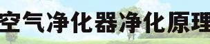 空气净化器净化原理(空气净化器的工作原理哪种更好)