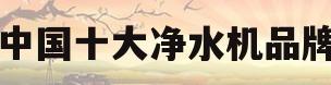 中国十大净水机品牌(净水器十大品牌排名榜)