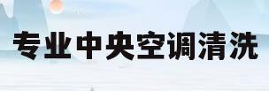 专业中央空调清洗(专业中央空调清洗加盟)