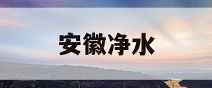 安徽净水(安徽净水机有哪些牌子)