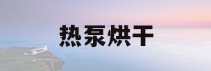 热泵烘干(热泵烘干一体机)