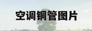 空调铜管图片(空调铜管原理图)
