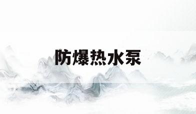 防爆热水泵(防爆水泵厂家直销)