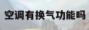 空调有换气功能吗(家用空调有换气功能吗)