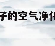 什么牌子的空气净化器除甲醛最好(什么品牌的空气净化器除甲醛效果最好)