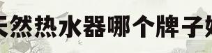 天然热水器哪个牌子好(天然热水器哪个牌子好用)
