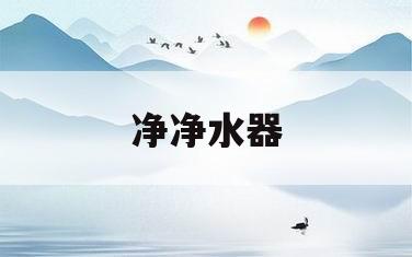 净净水器(九阳热小净净水器)