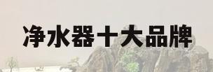 净水器十大品牌(净水器十大品牌2023排行榜及价格)