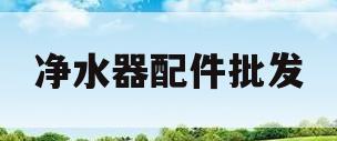 净水器配件批发(净水器配件批发市场地址)