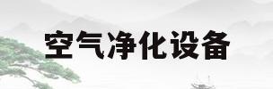 空气净化设备(烧烤店空气净化设备)