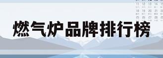 燃气炉品牌排行榜(燃气采暖炉品牌排行榜前十名)