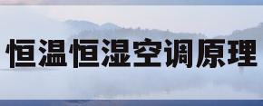 恒温恒湿空调原理(恒温恒湿空调是什么意思)