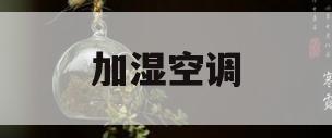加湿空调(加湿空调扇对身体有害吗)