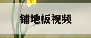 铺地板视频(铺地板视频开头教学)