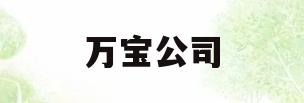 万宝公司(万宝公司电话是多少)