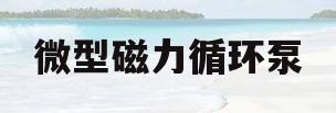 微型磁力循环泵(磁力泵和循环泵的区别)