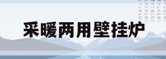 采暖两用壁挂炉(壁挂炉两用什么牌子好)