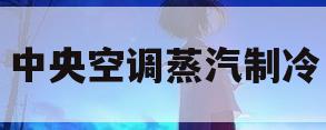 中央空调蒸汽制冷(中央空调蒸发器的工作原理)