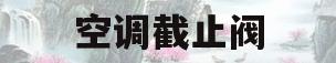 空调截止阀(空调截止阀阀芯更换视频)