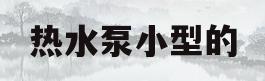 热水泵小型的(热水泵小型的能用吗)