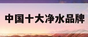 中国十大净水品牌(中国十大净水品牌有哪些)