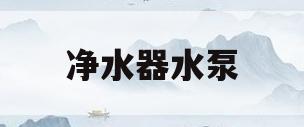 净水器水泵(净水器水泵维修拆解图)