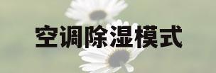 空调除湿模式(空调除湿模式有什么用)