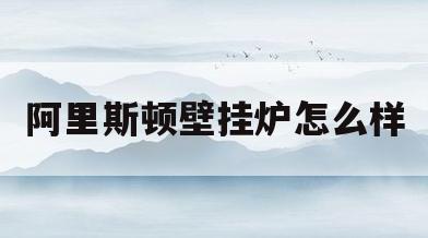 阿里斯顿壁挂炉怎么样(阿里斯顿壁挂炉怎么样加水)