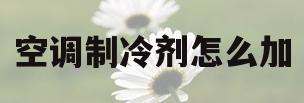 空调制冷剂怎么加(空调制冷剂怎么加视频教程)