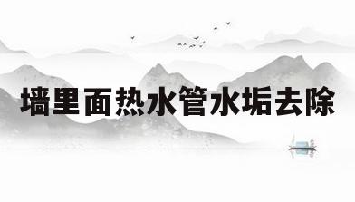 墙里面热水管水垢去除(墙里面热水管水垢去除小妙招)