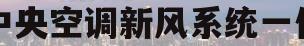 中央空调新风系统一体(中央空调新风系统一体机怎么样)