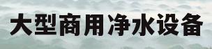 大型商用净水设备(大型商用净水设备调研报告)