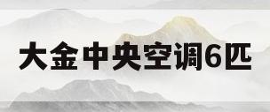 大金中央空调6匹(大金中央空调6匹一拖4价格)