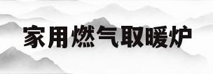 家用燃气取暖炉(家用燃气取暖炉品牌排行榜)