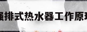 强排式热水器工作原理(强排式热水器工作原理视频)