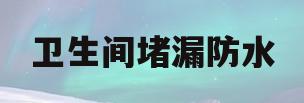卫生间堵漏防水(卫生间堵漏防水方法)