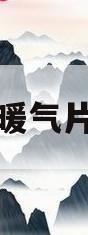 室内暖气片安装(暖气片安装全过程)