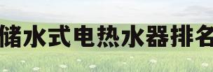 储水式电热水器排名(既热水器和储水热水器哪个好)