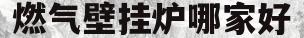 燃气壁挂炉哪家好(燃气壁挂炉国内品牌)