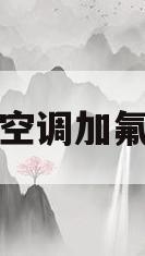 空调加氟(空调加氟多少钱一次)