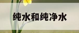 纯水和纯净水(纯水和纯净水一样吗)