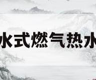 储水式燃气热水器(储水式燃气热水器怎么用最省气?)