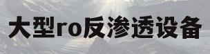 大型ro反渗透设备(反渗透ro纯水装置厂家)