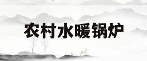农村水暖锅炉(农村水暖锅炉一阵一阵的响怎么办)