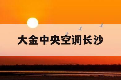 大金中央空调长沙(大金中央空调长沙总经销)