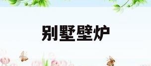 别墅壁炉(别墅壁炉设计图片)