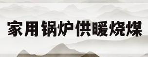 家用锅炉供暖烧煤(家用锅炉供暖烧煤多少钱)