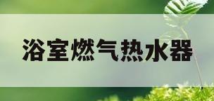 浴室燃气热水器(浴室燃气热水器安装视频全过程教程)